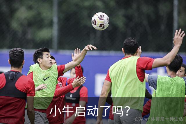 小牛启动了吗？